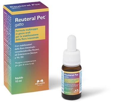 REUTERAL Pet Gatto Gocce per la flora intestinale 10ml