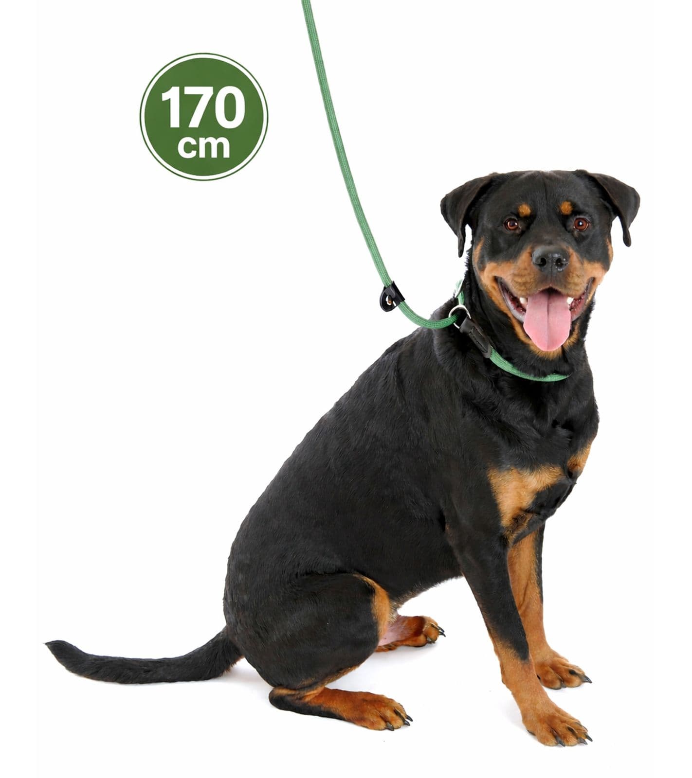 Comodo guinzaglio 3 in 1 Company of Animals per cani che tirano forte - Guinzaglio corto, guinzaglio da retriever, 170 cm, verde