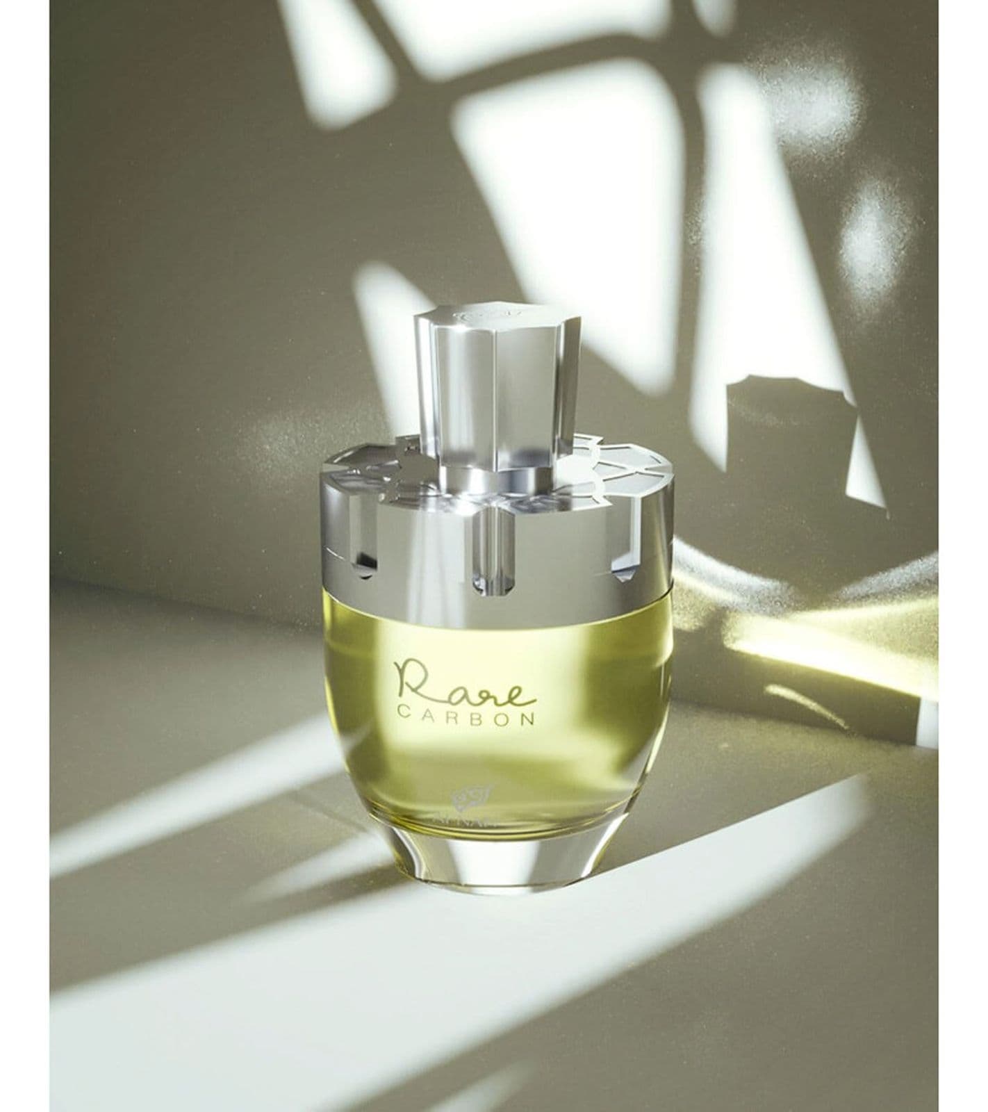 AFNAN Rare Carbon Eau de Parfum Uomo, Fragranza Cuoio Speziato 100ml Argento