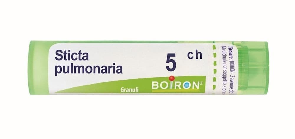 STICTA PULM BOI 5CH 80GR 4G