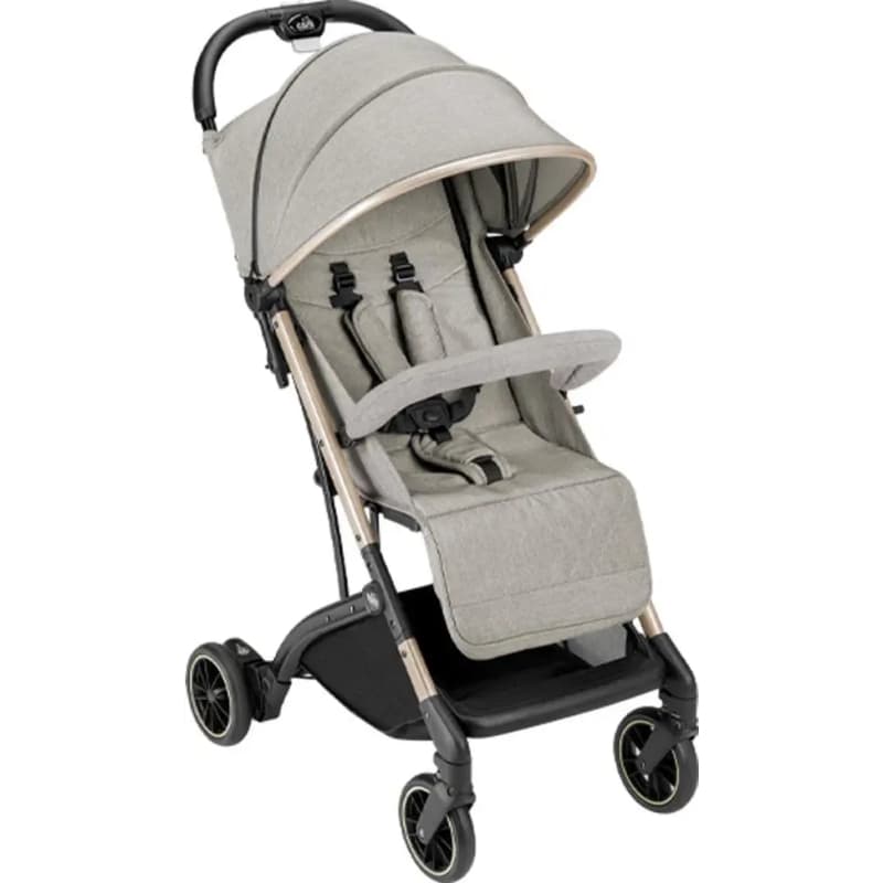 CAM Compass 2.0 - Passeggino 202 antracite
