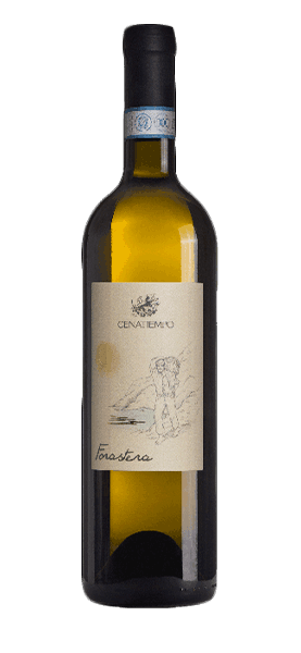 Forastera Ischia DOC 2023