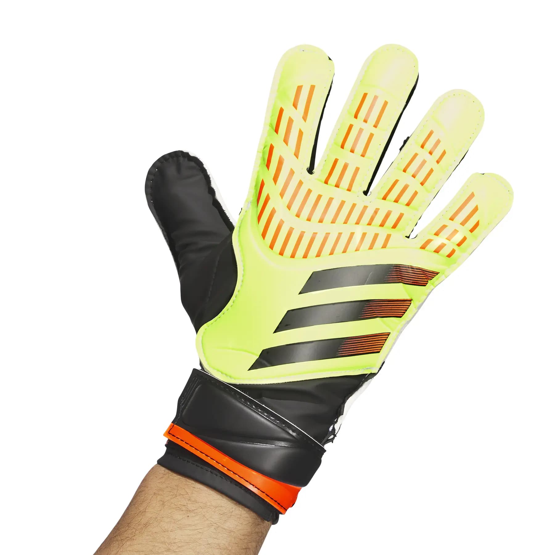 Guanti portiere adidas Predator TRN