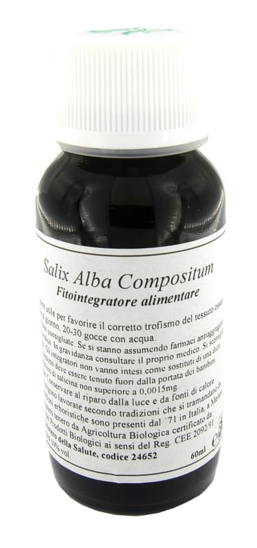 LVS 38N Salix Alba Comp.