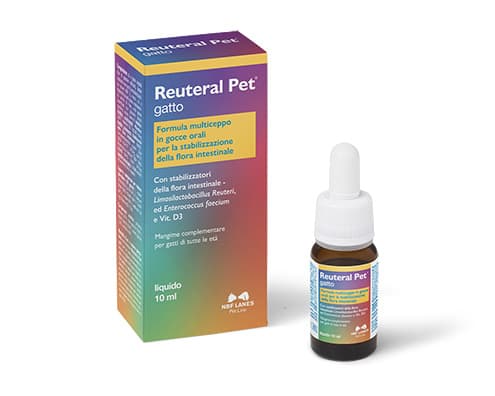 REUTERAL Pet Gatto Gtt 10ml