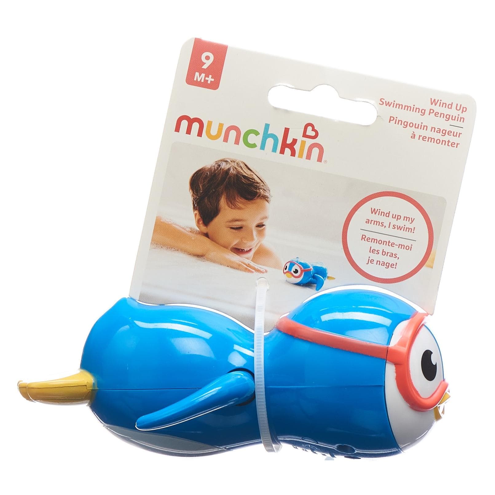 Munchkin Nuoto Pinguino che fa il bagno all'animale