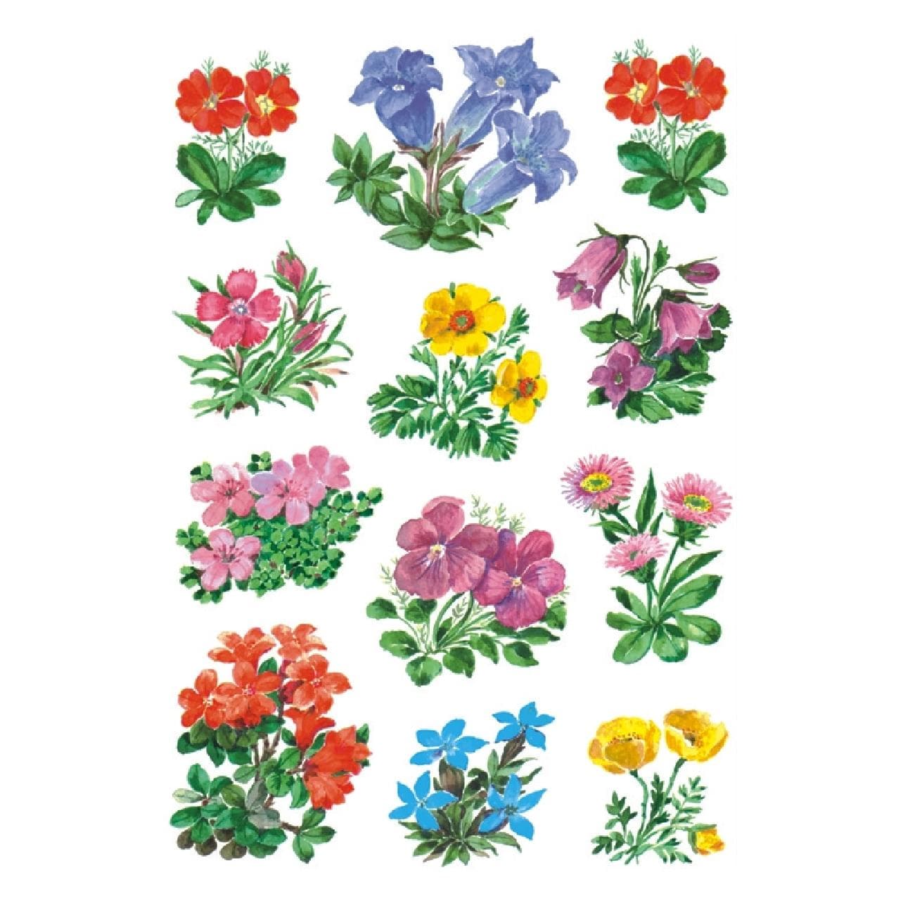 HERMA, Sticker, Fiori adesivi (36 Adesivo)