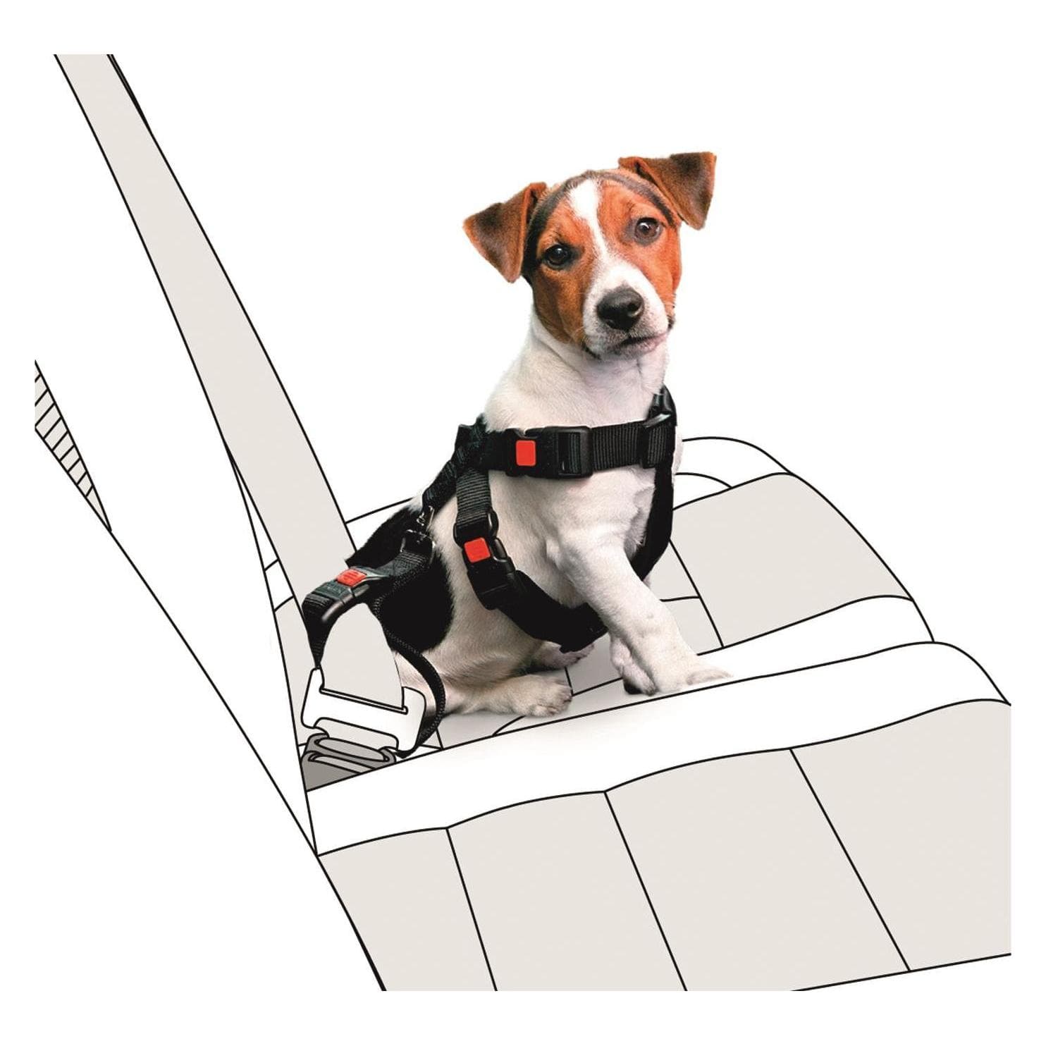 Karlie Nylon dell'imbracatura di sicurezza dell'automobile (Cane), Trasporto animali