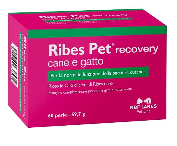 Ribes pet recovery 60prl