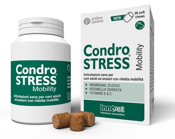 Condrostress mobility*90chew